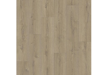 Линолеум Tarkett Praktika Bruno 1