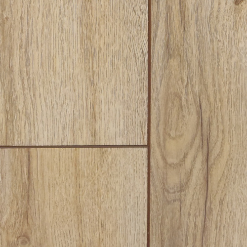 nanoclick__segan_enl